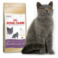 Royal Canin British Shorthair 34英國短毛貓成貓配方 4kg